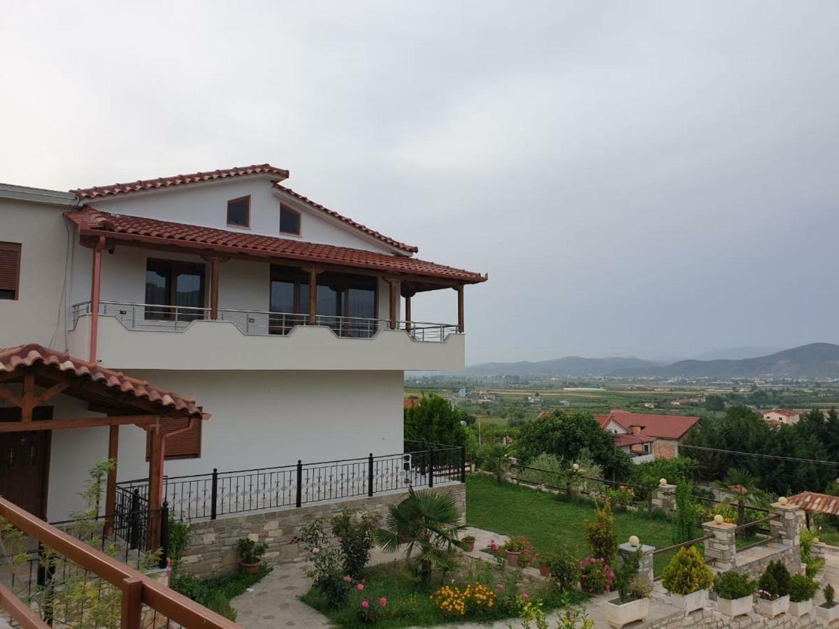 Palma * Berat